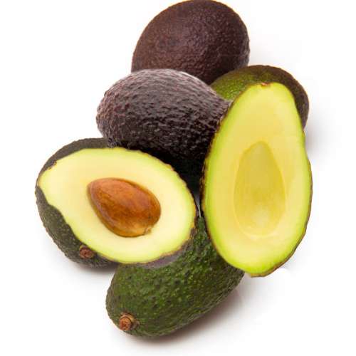 AVOCADO HASS VARIETY