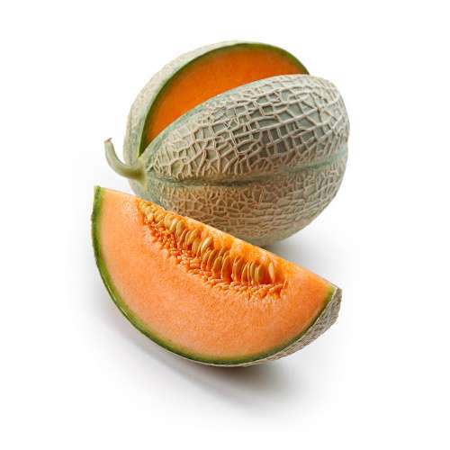 CANTALOUPE                        