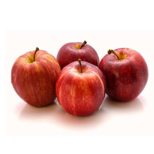 ORGANIC GALA APPLES NEW CROP