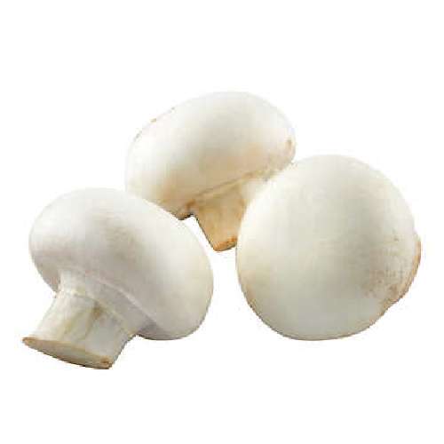 ORGANIC MUSHROOMS PREMIUM LARGE WHITE