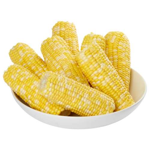 SUPER SWEET CORN FULLY HUSKED & TRIMMED